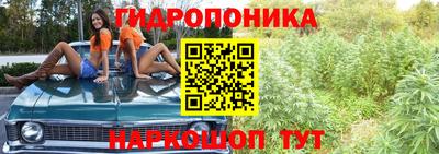 молекула духа Дубна