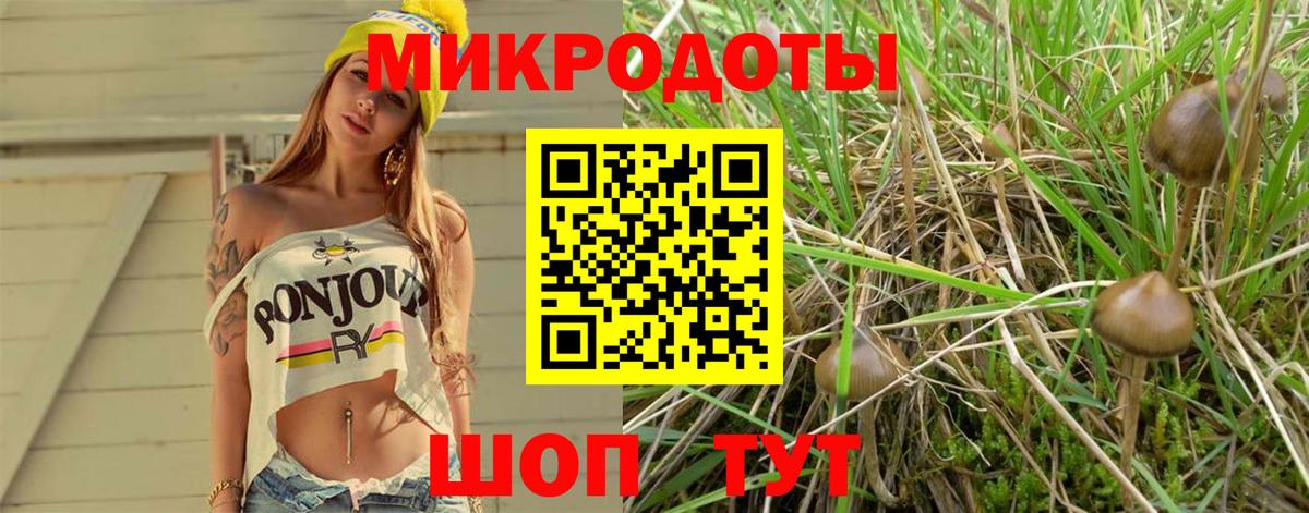 Галлюциногенные грибы GOLDEN TEACHER  наркошоп  Миллерово 